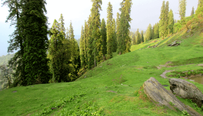 Narkanda hatu peak road view Himachal Pradesh