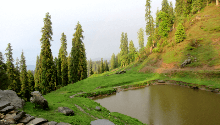 Narkanda Himachal Pradesh